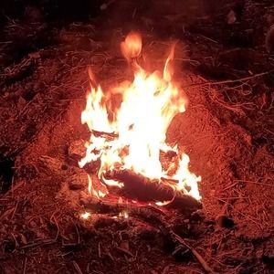 Meet your Posher, Jodi